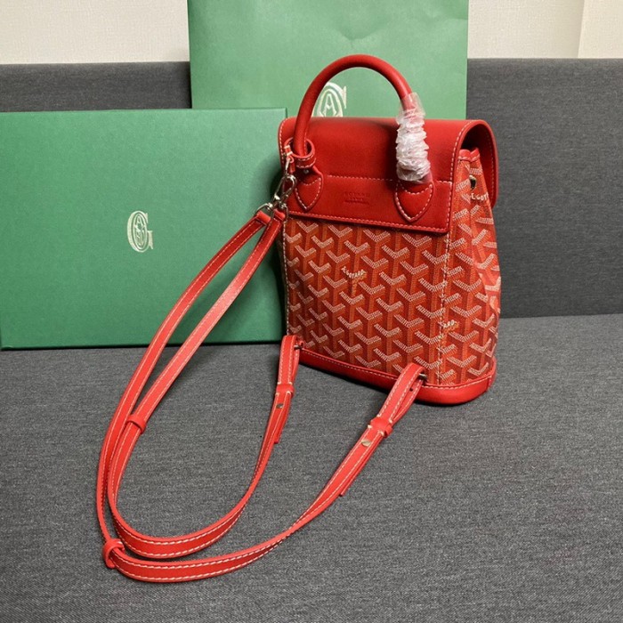 GOYARD ALPIN Backpack FZBB060