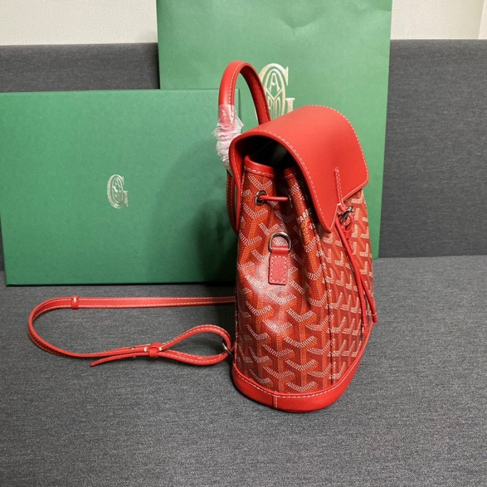 GOYARD ALPIN Backpack FZBB060