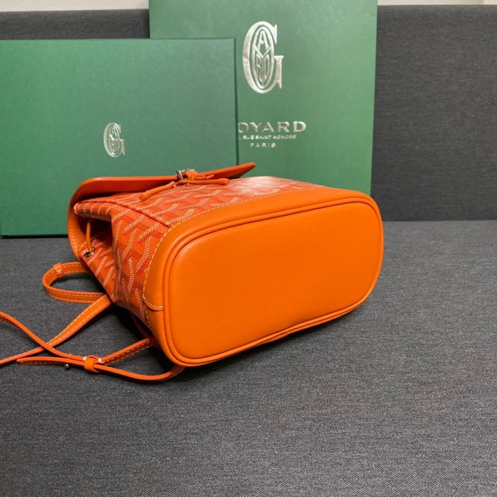 GOYARD ALPIN Backpack FZBB060