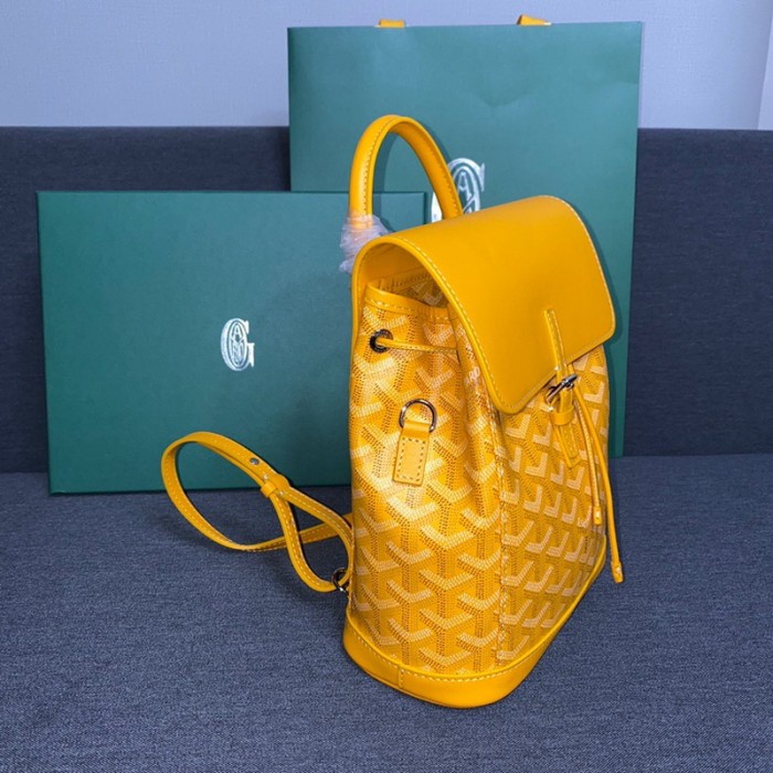 GOYARD ALPIN Backpack FZBB060