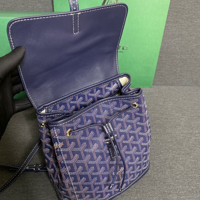 GOYARD ALPIN Backpack FZBB060