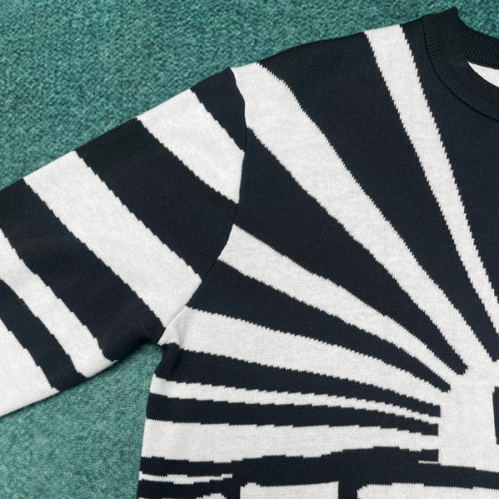 LV Sweater FZMY307