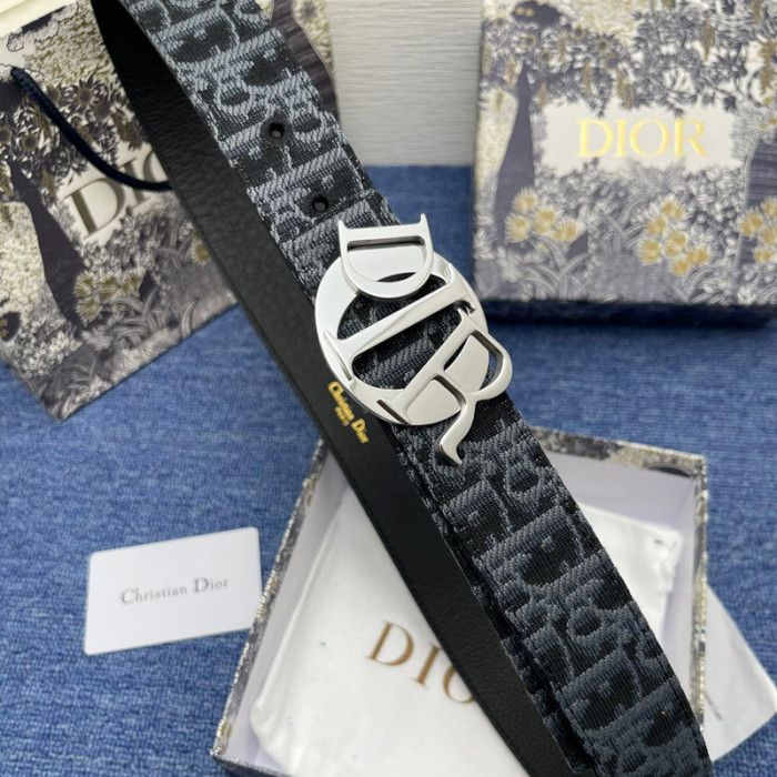 Dior Charm 35MM Belt FZYD160