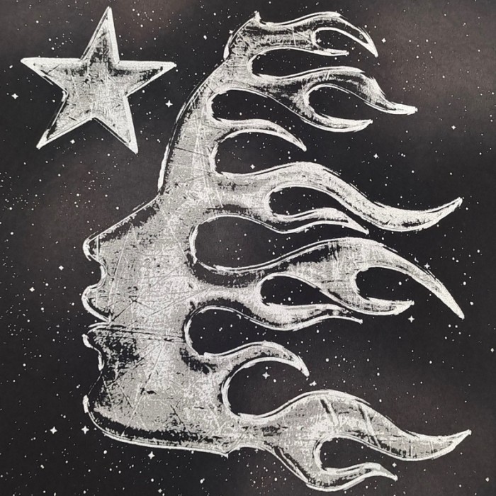 HELLSTAR TEE FZTX3926