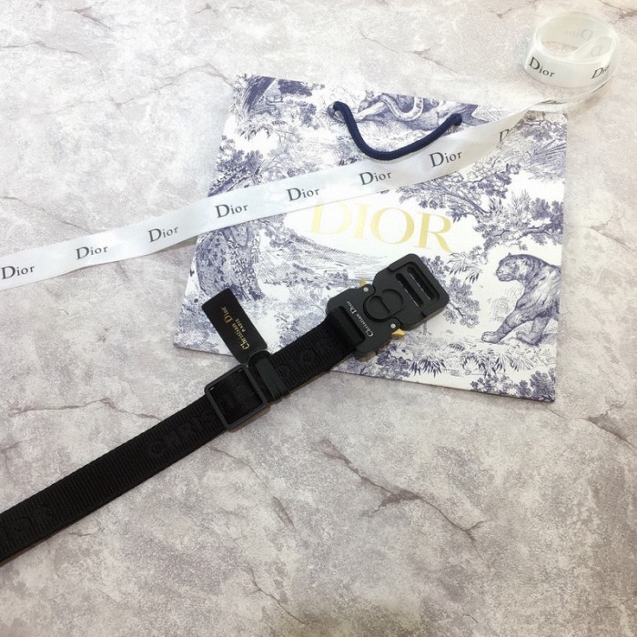 Dior Belt FZYD185