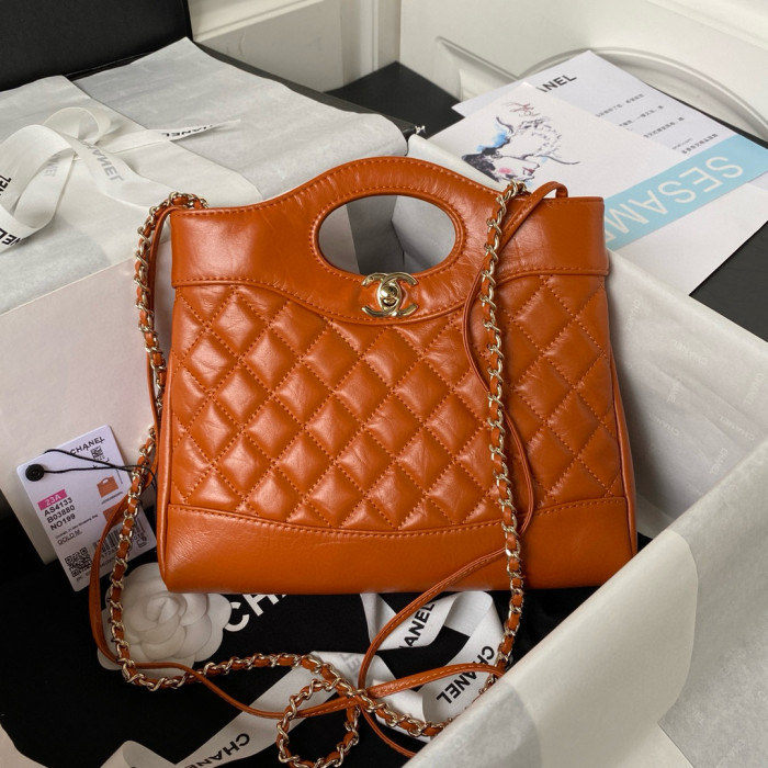 Chanel Mini 31 Bag FZBB120