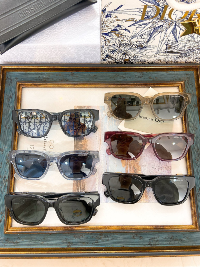 Dior OBLIQUE S11 Sunglasses FZMJ288
