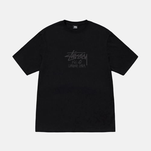 Stussy fw24 LAGUNA USA TEE PIGMENT DYED FZTX4380