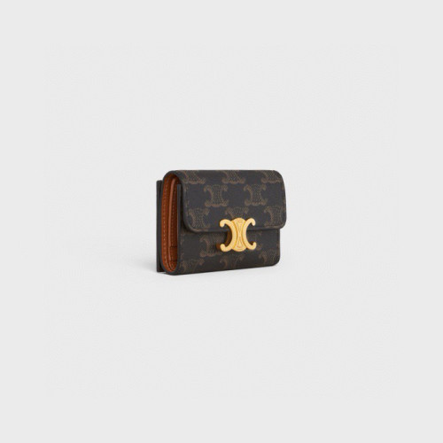 Celine TRIOMPHE card bag Wallet Purse FZBB137