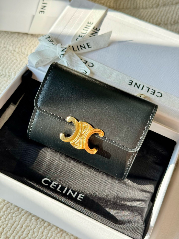 Celine TRIOMPHE card bag Wallet Purse FZBB137
