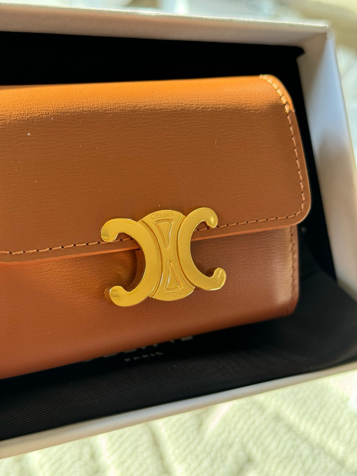 Celine TRIOMPHE card bag Wallet Purse FZBB137