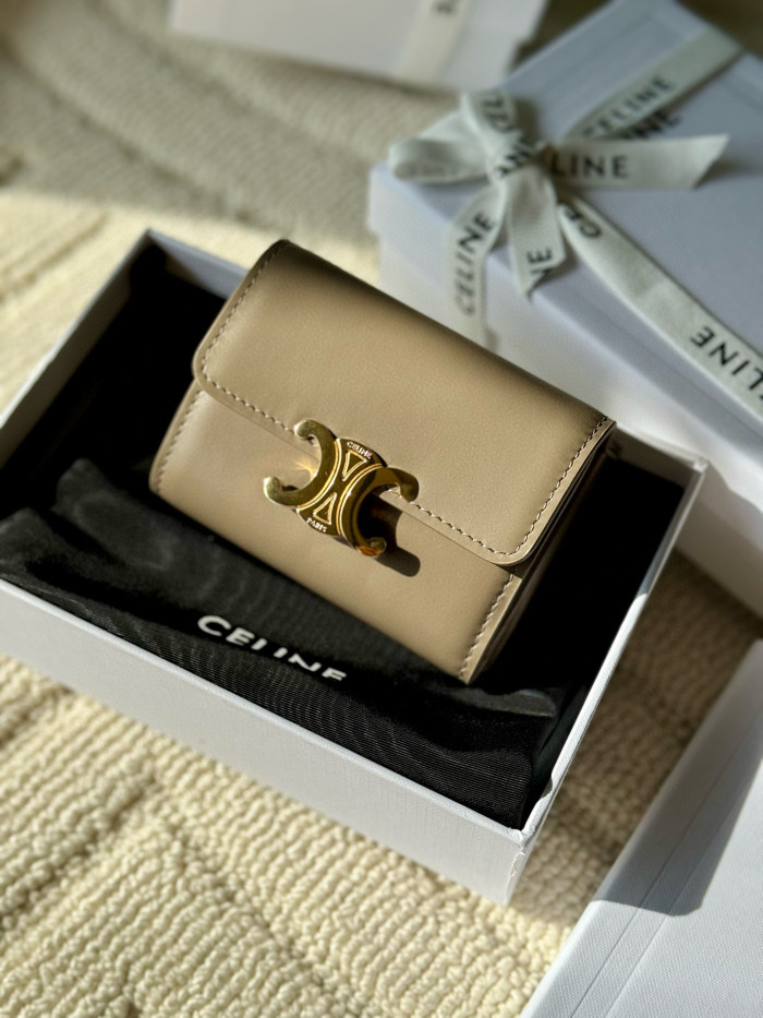 Celine TRIOMPHE card bag Wallet Purse FZBB137