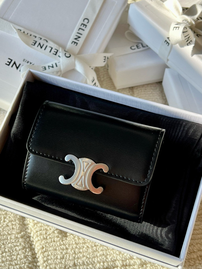 Celine TRIOMPHE card bag Wallet Purse FZBB137