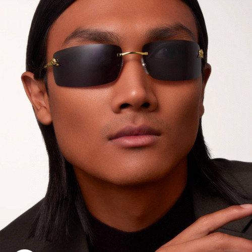 Cartier CT0503S Sunglasses FZMJ295