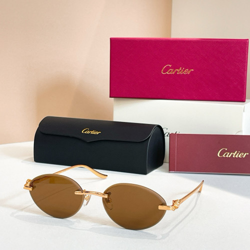 Cartier CT0504S Sunglasses FZMJ303