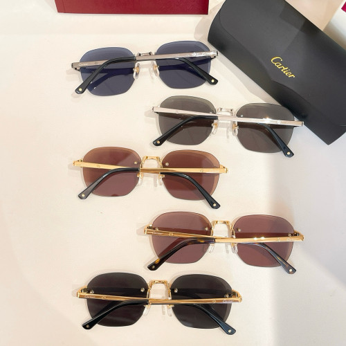 Cartier CT0459S Sunglasses FZMJ310