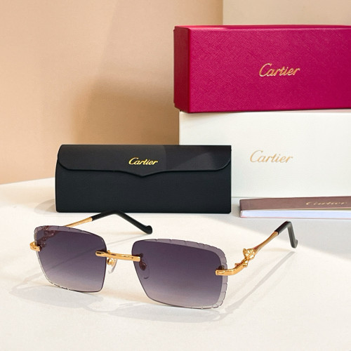 Cartier CT0093O Sunglasses FZMJ299