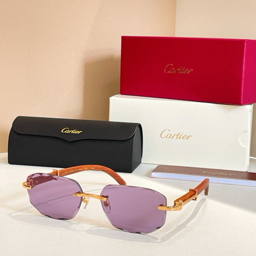 Cartier CT0606S Sunglasses FZMJ293