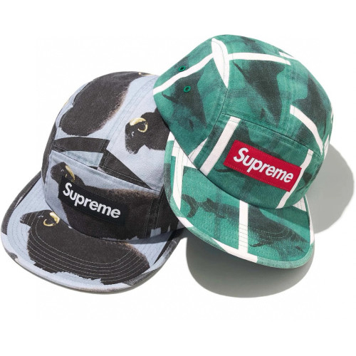 Supreme Damien Hirst Camp Cap FZMZ260