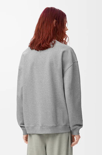 Loewe Sweatshirts FZWY1834