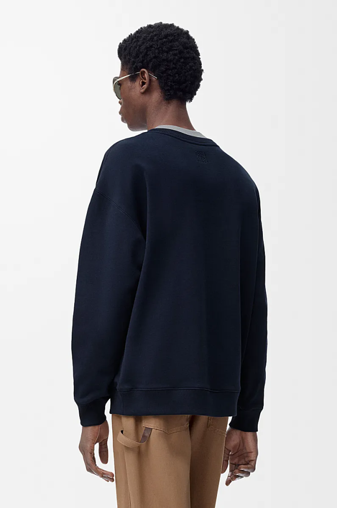 Loewe Sweatshirts FZWY1834