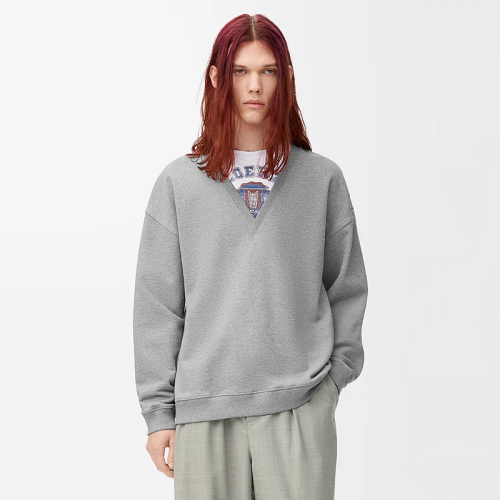 Loewe Sweatshirts FZWY1834