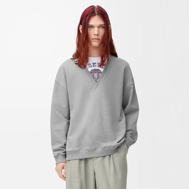 Loewe Sweatshirts FZWY1834