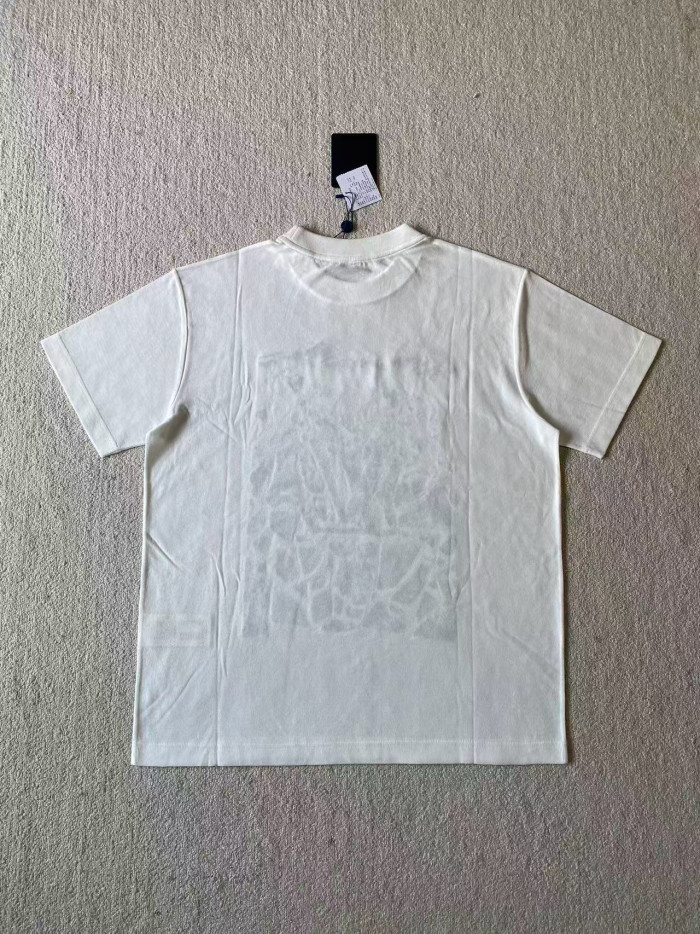 LV Mountain tee FZTX5374
