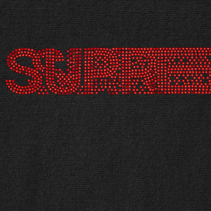 SUPREME X SWAROVSKI 25FW WEEK4 Motion Logo HOODED SWEATSHIR FZWY1895