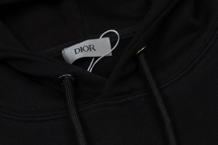 Dior CD Icon hoodies FZWY1939
