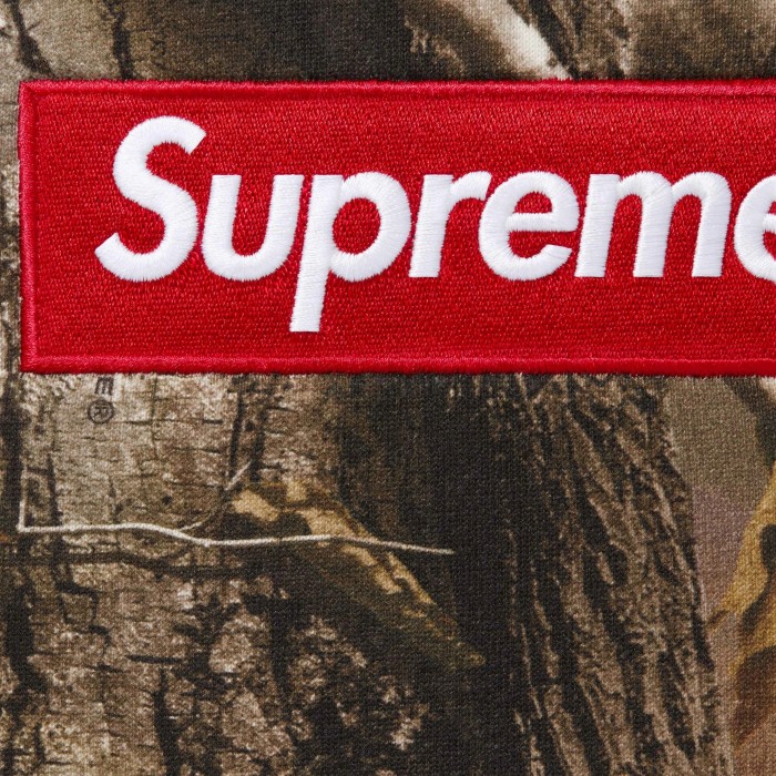 Supreme 25FW Box Logo Hooded Sweatshirt FZWY1990