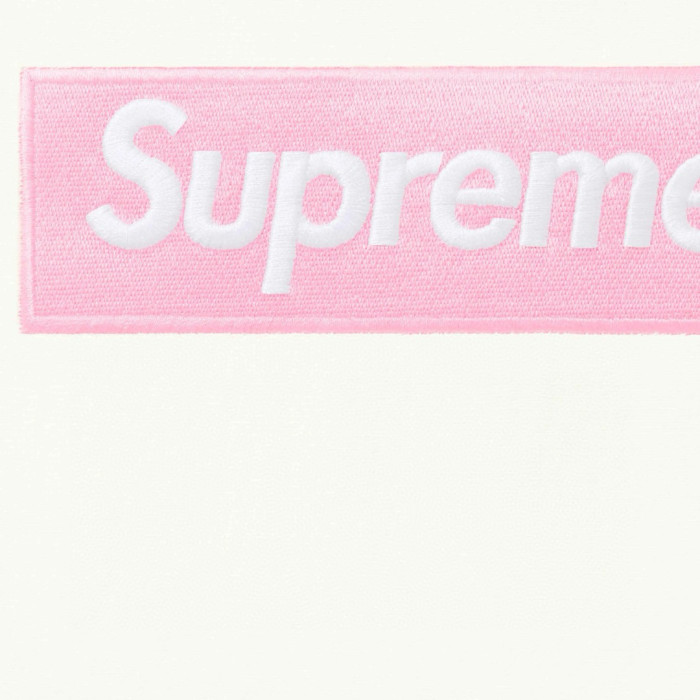Supreme 25FW Box Logo Hooded Sweatshirt FZWY1989
