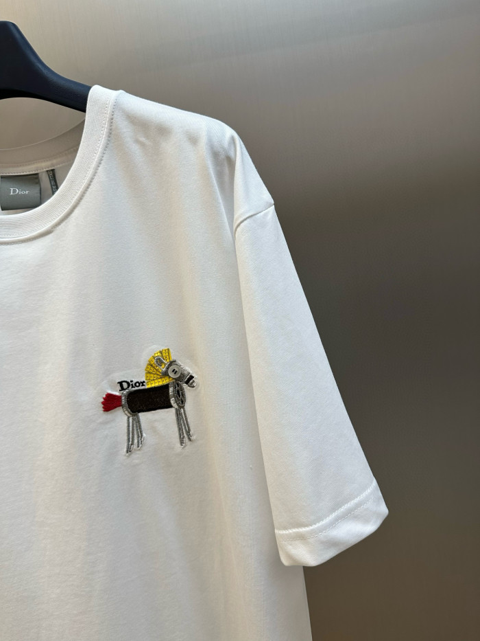 DIOR tee FZTX5479