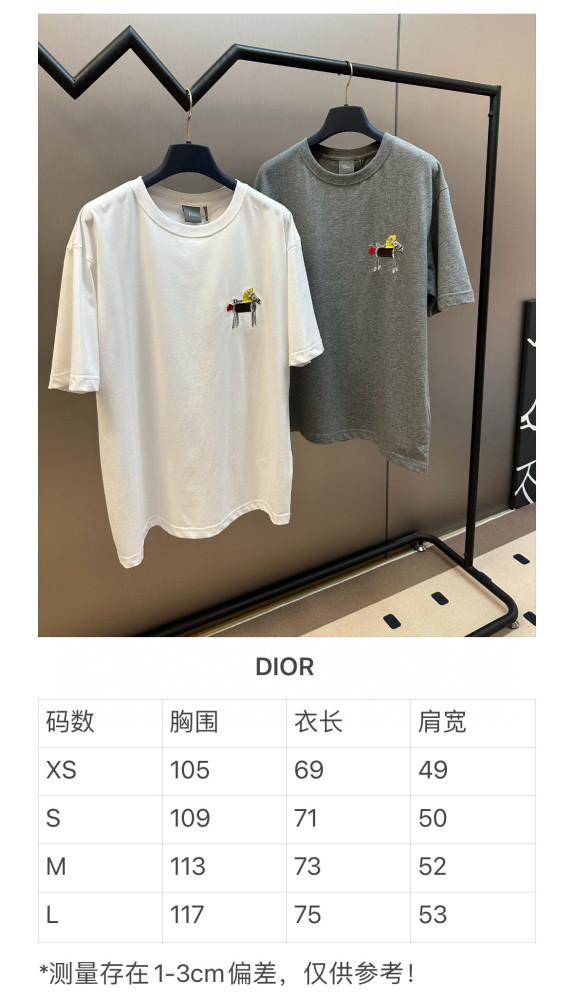DIOR tee FZTX5479