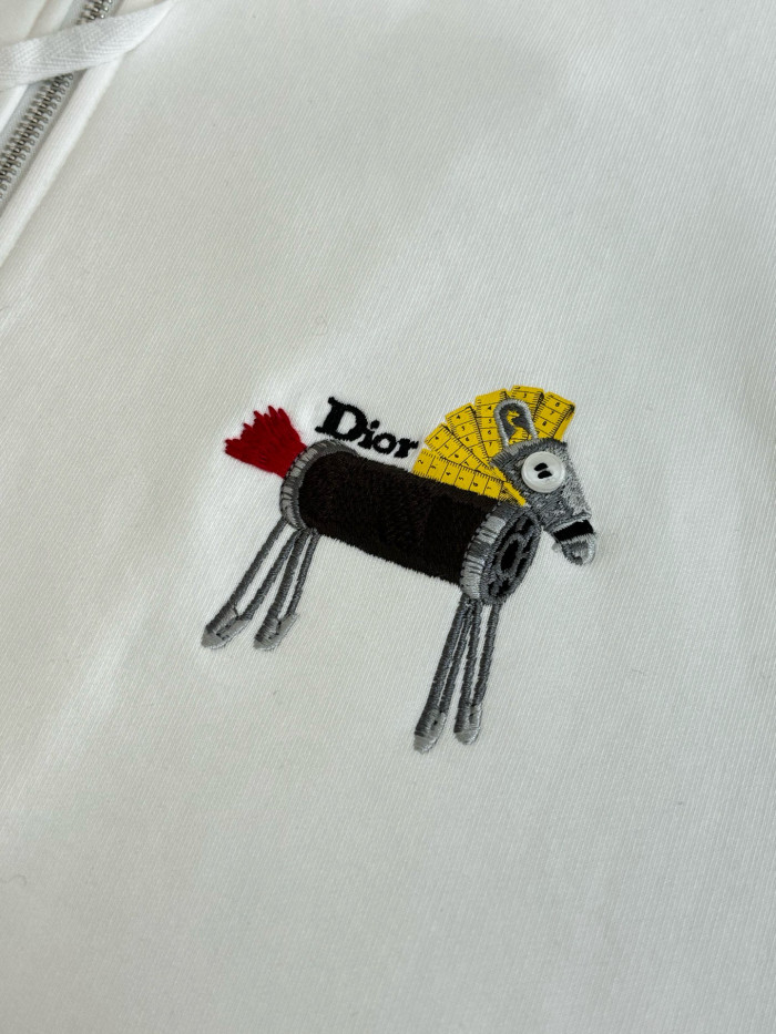DIOR Zip Hoodies FZWY2001