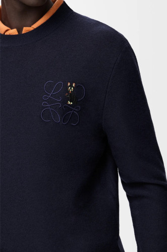 Loewe X LOUIS WAIN Anagram Sweater FZMY798