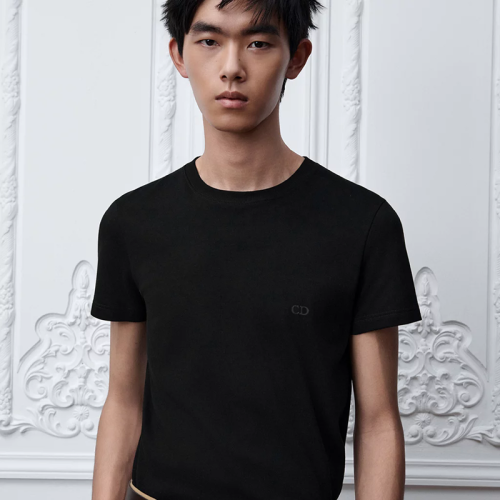 Dior CD tee FZTX5741
