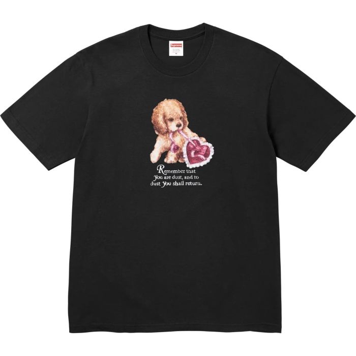 Supreme Dust Tee FZTX5781