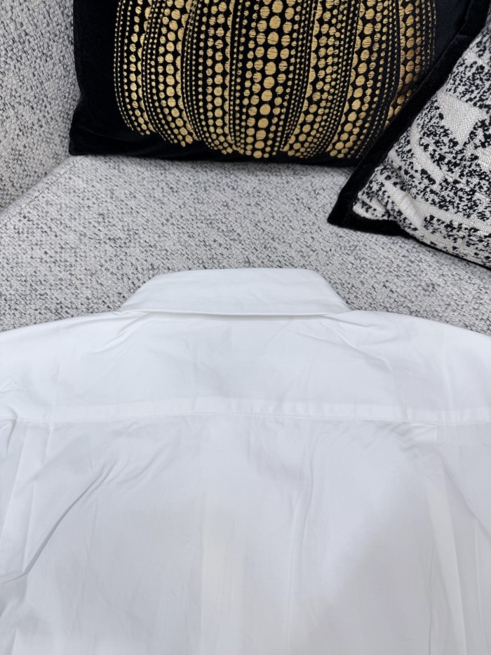 LV Monogram Shirts FZCS623