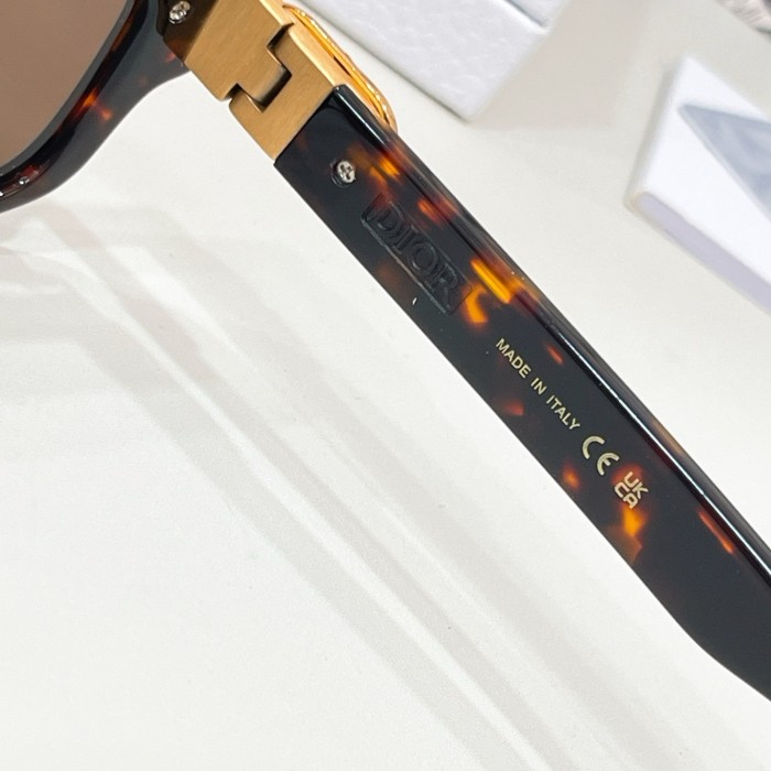 Dior CD ICON Sunglasses FZMJ397