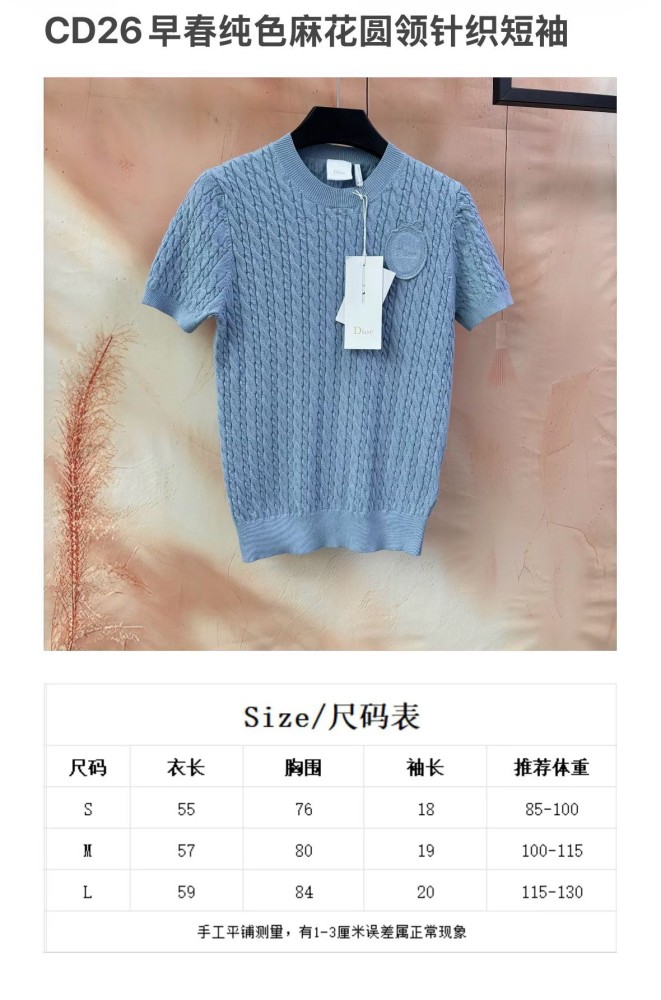 DIOR Dior Médaillon Knit Tee FZTX5974