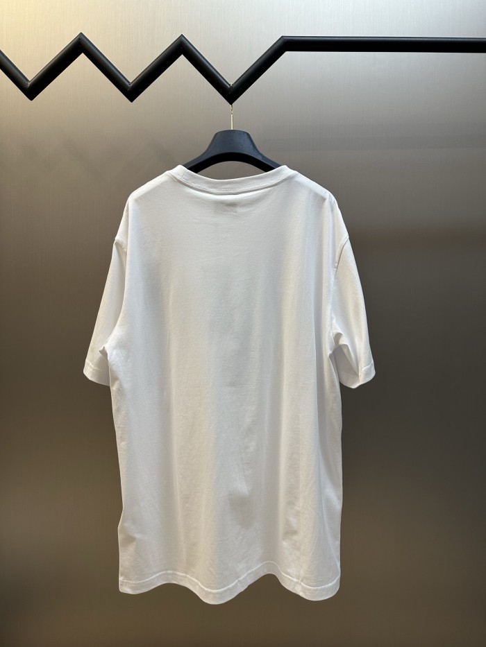 Dior Blason tee FZTX6008
