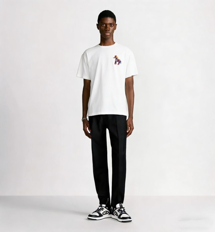 DIOR tee FZTX6020