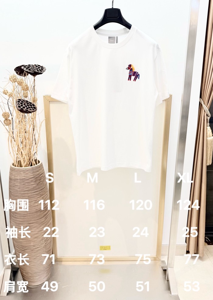 DIOR tee FZTX6020
