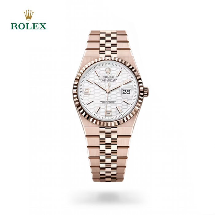 ROLEX OysterPerpetual Land-Dweller 36MM Watch FZSB025