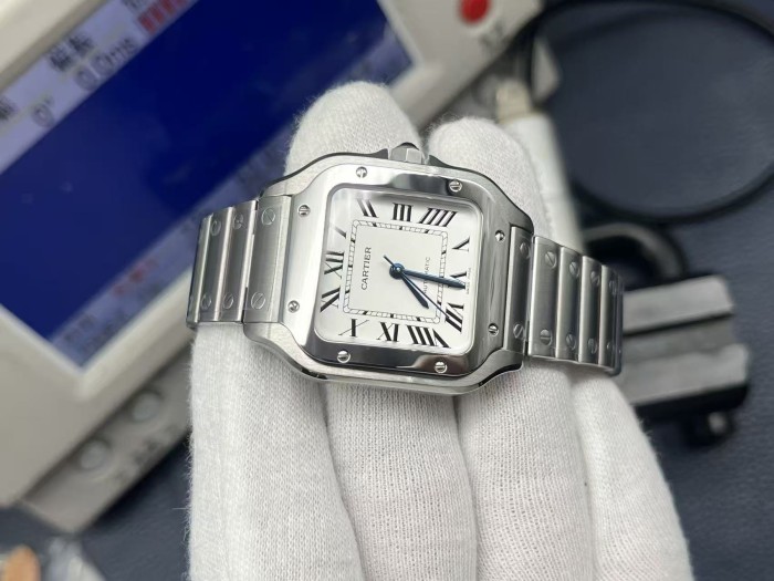 Cartier Santos Watch FZSB038