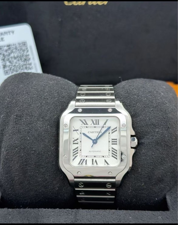 Cartier Santos Watch FZSB038