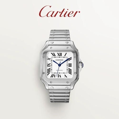 Cartier Santos Watch FZSB038