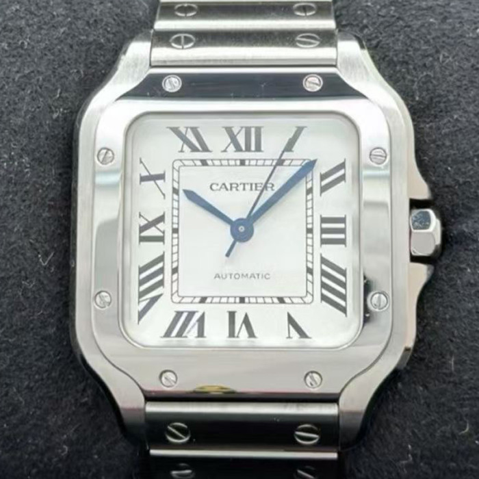 Cartier Santos Watch FZSB038