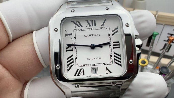 Cartier Santos Watch FZSB038